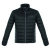 Picture of Quilted down coat for men