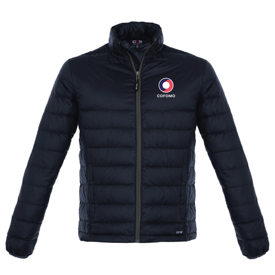 Picture of Quilted down coat for men