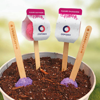 Picture of Wildflower Seed Pops